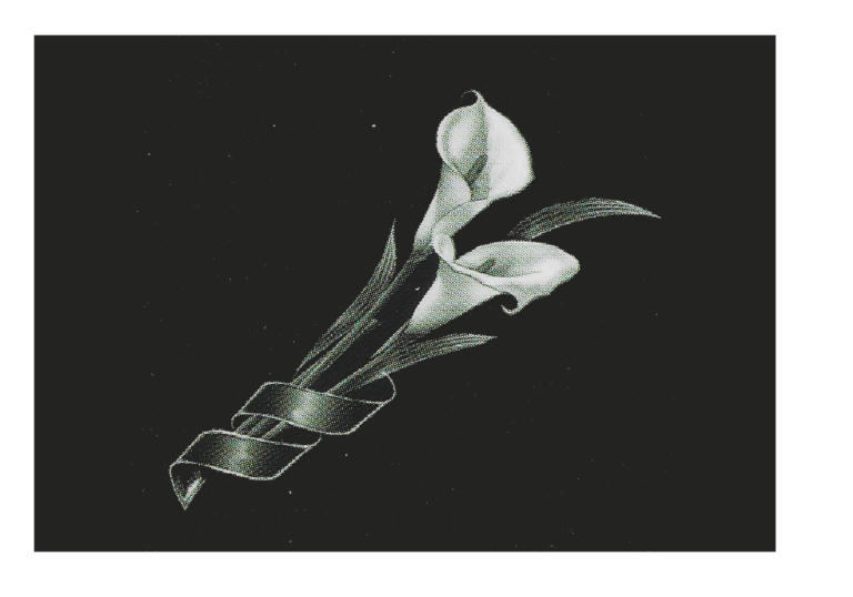 Ц-13